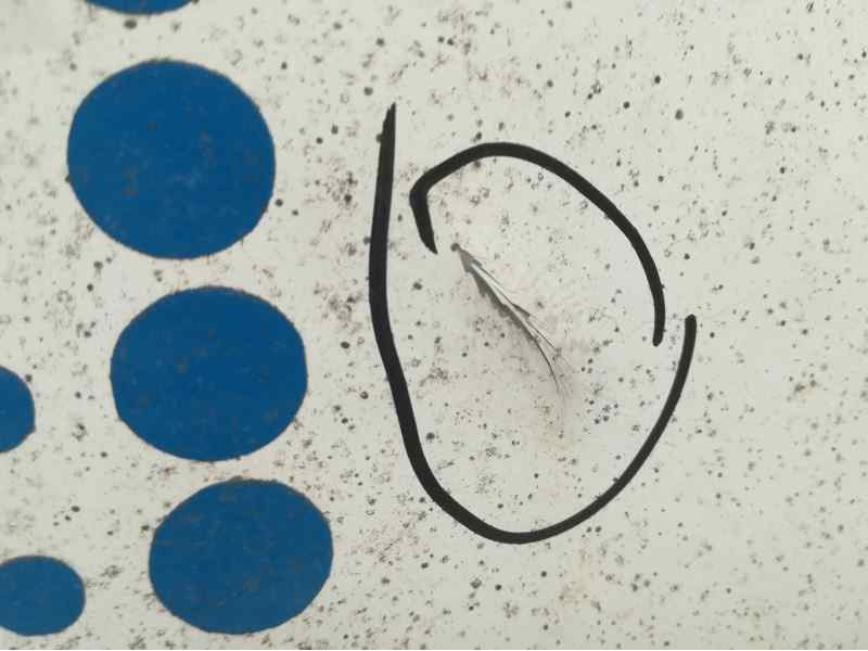 Recambio de capot para citroën berlingo 1.6 hdi 75 sx familiar referencia OEM IAM   TOCADO