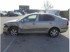 SKODA OCTAVIA BERLINA (1Z3)