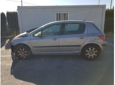 PEUGEOT 307 (S1)