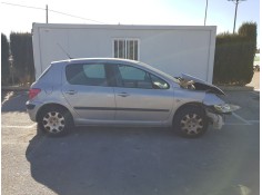 PEUGEOT 307 (S1)
