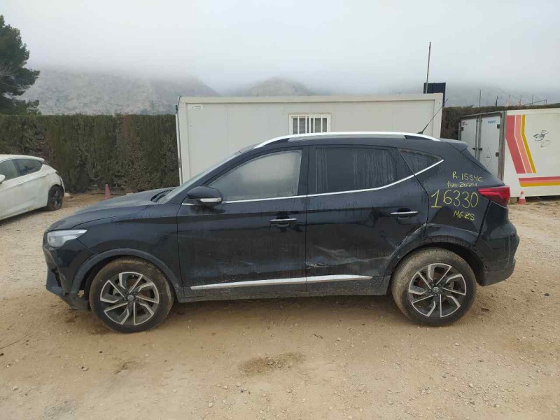 mg zs del año 2024