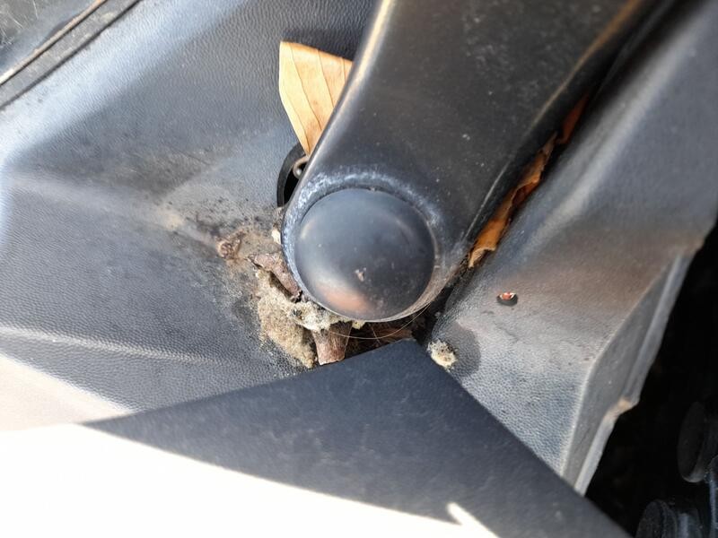 Recambio de motor limpia delantero izquierdo para seat altea (5p1) 1.2 tsi referencia OEM IAM 5P0955023H  