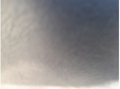 ELEVALUNAS TRASERO DERECHO 