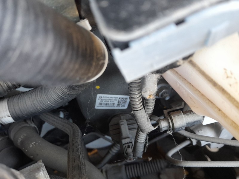 Recambio de servofreno para fiat tipo hatchback (356_, 357_) 1.4 (356hxa1b) referencia OEM IAM   