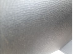 ELEVALUNAS TRASERO IZQUIERDO 9829045980 