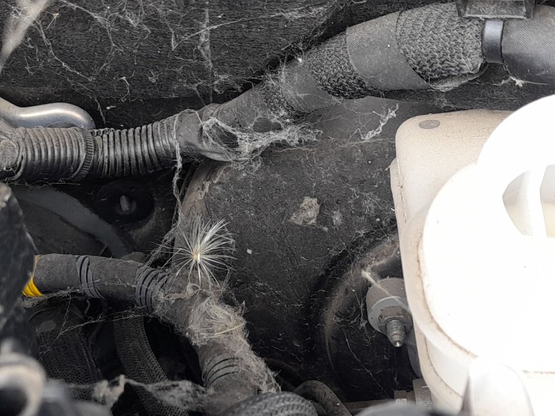 Recambio de servofreno para jeep compass (mp, m6, mv, m7) 1.3 referencia OEM IAM   