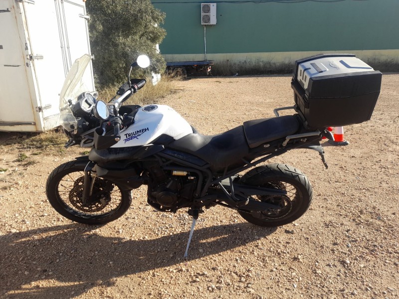 triumph tiger del año 2011