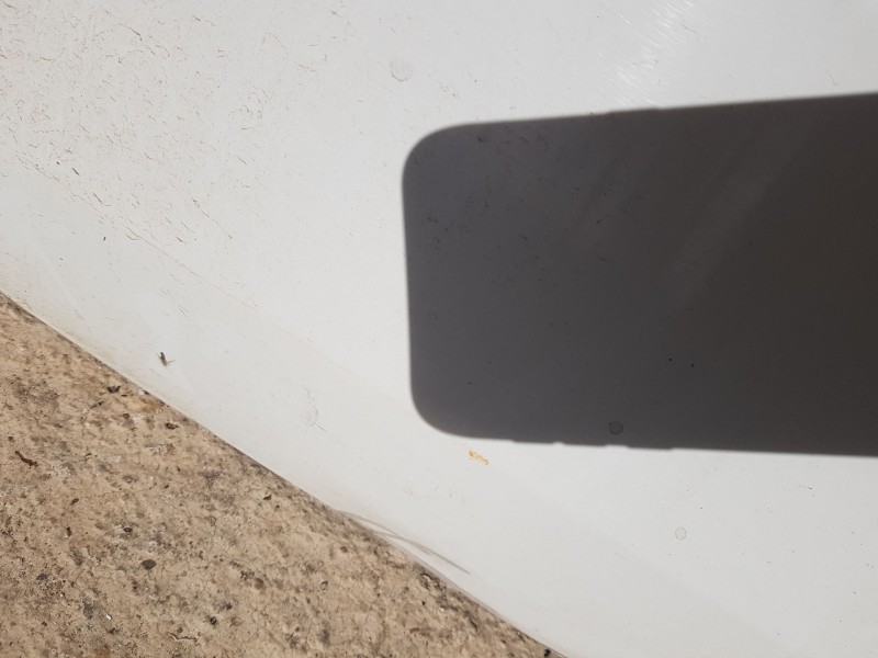 Recambio de puerta delantera derecha para bmw serie 1 berlina (e81/e87) 118d referencia OEM IAM 41007207446  