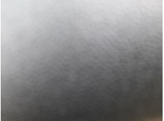 ELEVALUNAS TRASERO DERECHO 