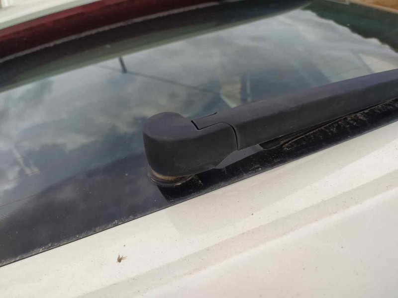 Recambio de motor limpia trasero para audi a1 (8x) attraction referencia OEM IAM 8U0955711A  