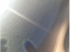 ELEVALUNAS TRASERO IZQUIERDO 9832713980 