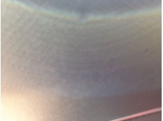 ELEVALUNAS DELANTERO IZQUIERDO 9830160180 