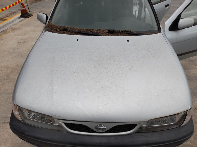 Recambio de capot para nissan almera i (n15) 2.0 d referencia OEM IAM   