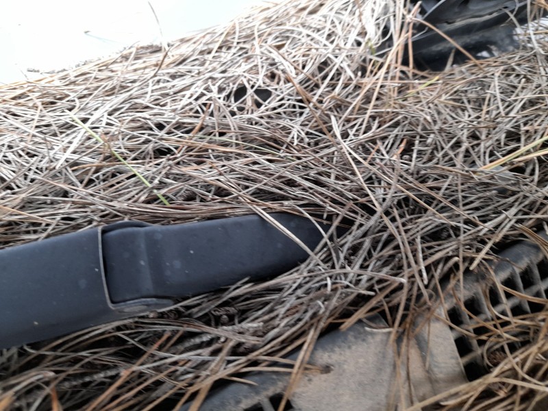 Recambio de motor limpia delantero para nissan almera i (n15) 2.0 d referencia OEM IAM   