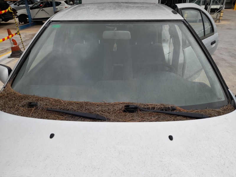 Recambio de parabrisas para nissan almera i (n15) 2.0 d referencia OEM IAM   