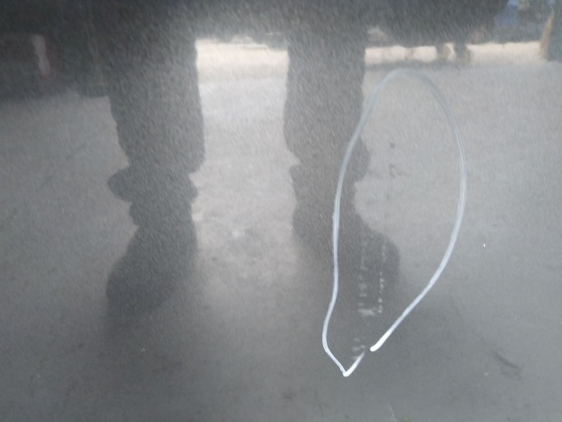 Recambio de puerta delantera derecha para volkswagen new beetle (9c1/1c1) 1.9 tdi referencia OEM IAM 1C0831052N  POCO TOCADA