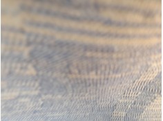 ELEVALUNAS DELANTERO DERECHO 7700838591 