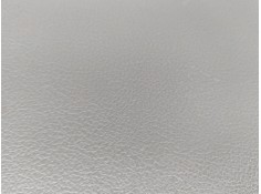 ELEVALUNAS DELANTERO IZQUIERDO 1870651 