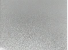 ELEVALUNAS TRASERO IZQUIERDO 2485403 