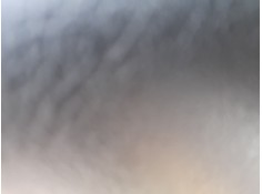 Recambio de elevalunas delantero izquierdo para fiat tipo hatchback (356_, 357_) 1.3 d (356hxh1a) referencia OEM IAM 52130436  7