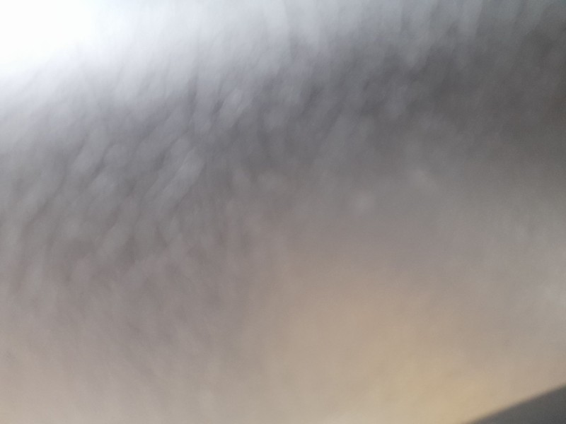 Recambio de elevalunas trasero izquierdo para fiat tipo hatchback (356_, 357_) 1.3 d (356hxh1a) referencia OEM IAM 52093915  717