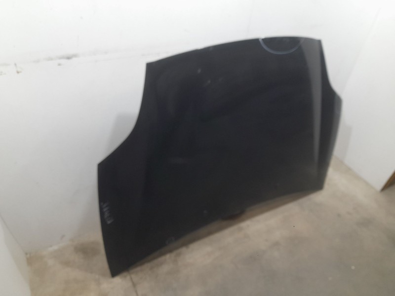 Recambio de capot para fiat bravo ii (198_) 1.9 d multijet (198axc1b) referencia OEM IAM 51775925  
