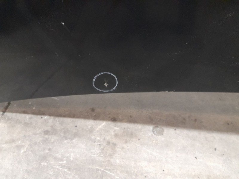 Recambio de capot para fiat bravo ii (198_) 1.9 d multijet (198axc1b) referencia OEM IAM 51775925  