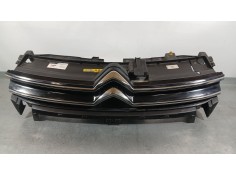 REJILLA DELANTERA 9814095980 