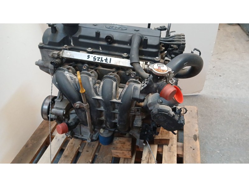 Recambio de motor completo para kia rio iii (ub) 1.2 cvvt referencia OEM IAM G4LA SOPORTE DISTRIBUCION ROTO FP010378