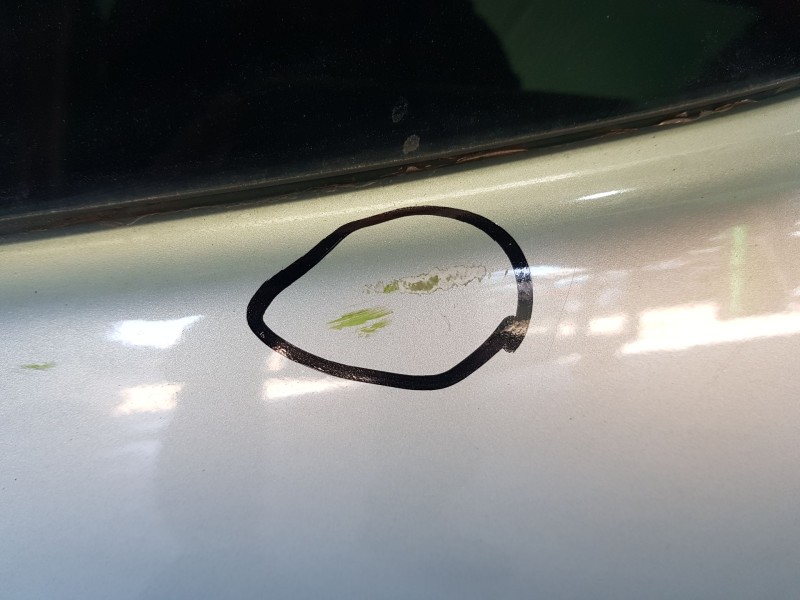 Recambio de porton trasero para citroën xsara picasso (n68) 1.6 referencia OEM IAM 8701L3 TOCADO 