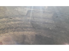 PLASTICO PASE RUEDA DEL. DCH. 7972035002 