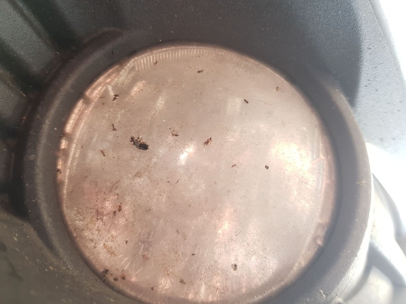 Recambio de faro antiniebla izquierdo para renault talisman (lp_) 1.6 dci 130 referencia OEM IAM 261500097R  