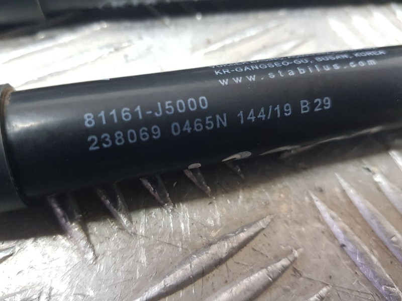 Recambio de amortiguadores capo para kia stinger (ck) gt-line 2wd referencia OEM IAM 81161J5000  