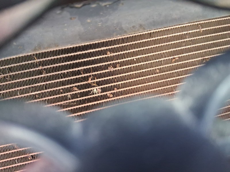 Recambio de condensador / radiador aire acondicionado para fiat 500 c (312_) 1.2 (312cxa1a, 312axa1a) referencia OEM IAM 5220926