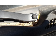 Recambio de motor limpia delantero para fiat doblo cargo (263_) 1.3 d multijet (263wxu1a) referencia OEM IAM 51810592  