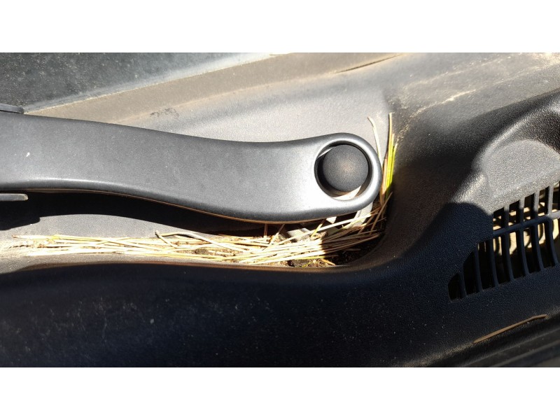 Recambio de motor limpia delantero para fiat doblo cargo (263_) 1.3 d multijet (263wxu1a) referencia OEM IAM 51810592  