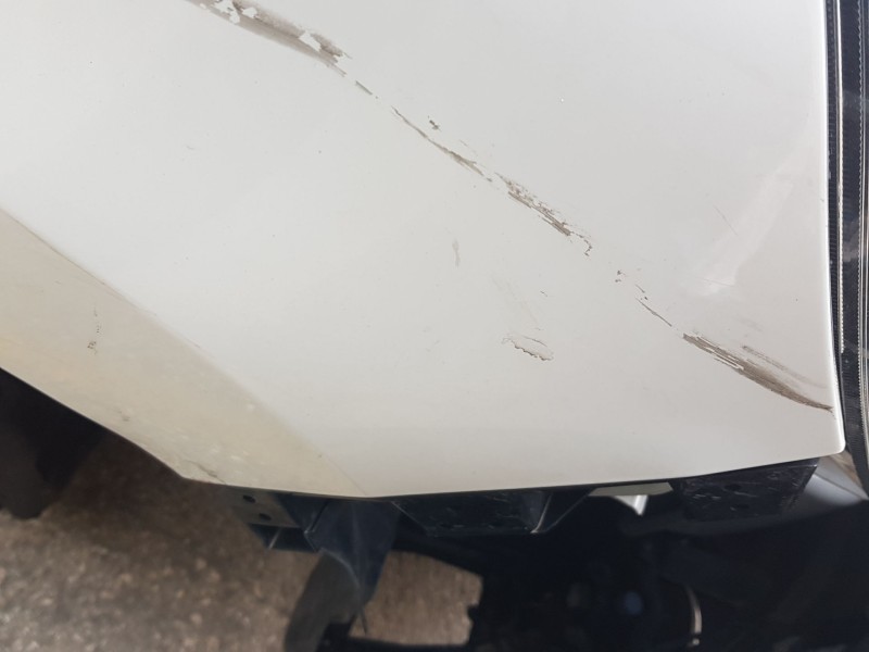 Recambio de aleta delantera derecha para renault express furgoneta/monovolumen 1.5 blue dci 75 (f6aa) referencia OEM IAM 6310068