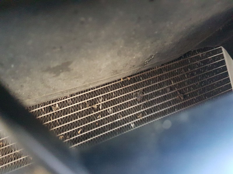 Recambio de condensador / radiador aire acondicionado para renault express furgoneta/monovolumen 1.5 blue dci 75 (f6aa) referenc