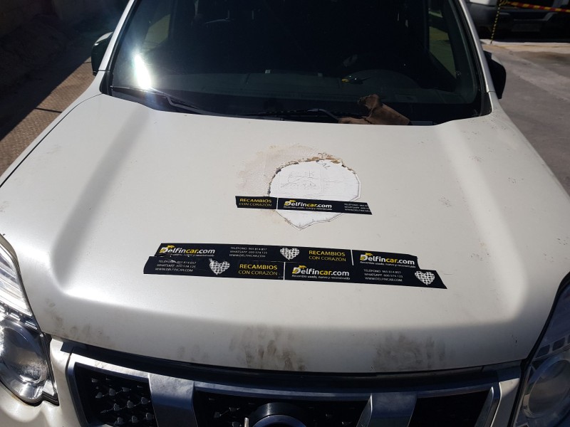Recambio de capot para nissan x-trail ii (t31) 2.0 dci 4x4 referencia OEM IAM F5100JG0MM  