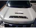 Recambio de capot para nissan x-trail ii (t31) 2.0 dci 4x4 referencia OEM IAM F5100JG0MM  