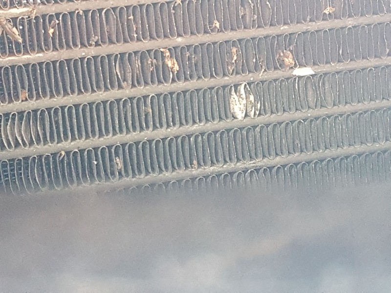 Recambio de condensador / radiador aire acondicionado para honda accord vii (cl, cn) 2.0 (cl7) referencia OEM IAM 80110SEA013  