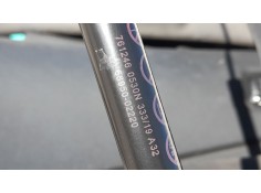 AMORTIGUADORES MALETERO / PORTON 6896002210 