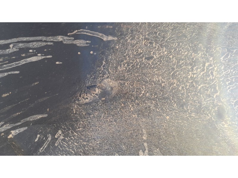 Recambio de plastico pase rueda tras. dch. para renault kangoo express (fw0/1_) 1.5 dci 90 (fw0g, fw05, fw08, fw11) referencia O