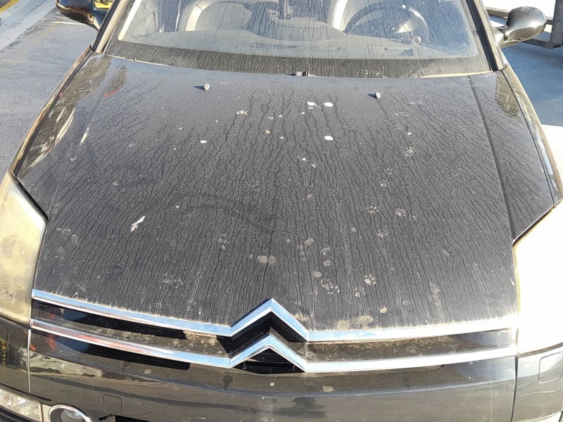 Recambio de capot para citroën c6 (td_) 2.7 hdi referencia OEM IAM 790143  