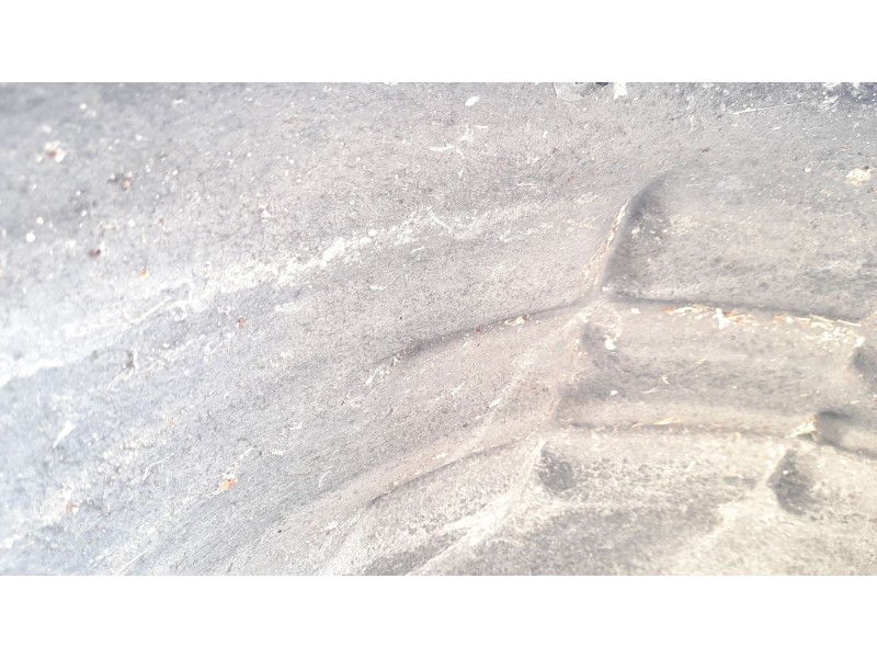 Recambio de plastico pase rueda tras. dch. para volkswagen eos (1f7, 1f8) 2.0 tdi referencia OEM IAM 1Q0810972A  