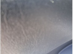 ELEVALUNAS TRASERO IZQUIERDO 52093915 71797395 