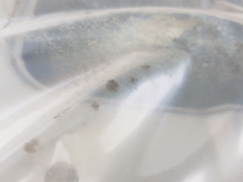 Recambio de elevalunas trasero derecho para nissan qashqai i (j10, nj10) 2.0 dci a las 4 ruedas referencia OEM IAM 82700JD40A  