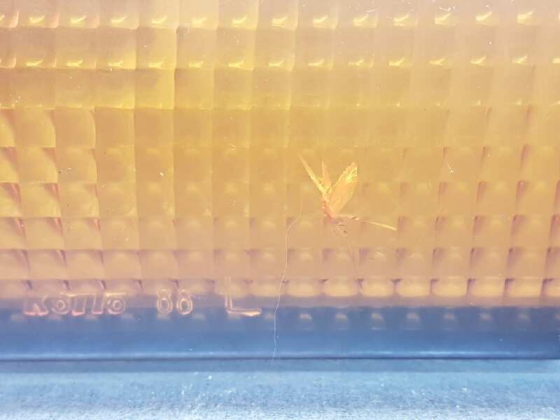 Recambio de piloto delantero izquierdo para toyota land cruiser station (j8) referencia OEM IAM   