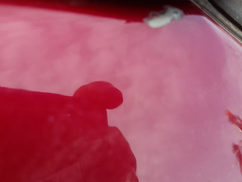 Recambio de aleta delantera izquierda para ford fiesta vi (cb1, ccn) 1.6 tdci referencia OEM IAM 1777181  