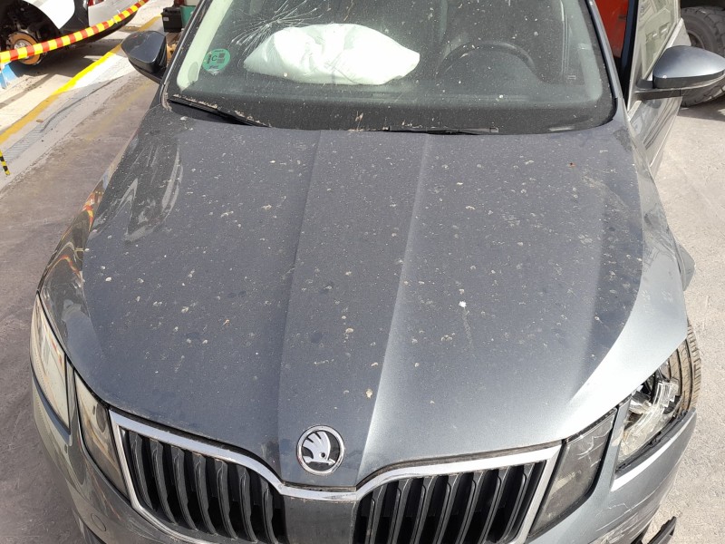 Recambio de capot para skoda octavia iii (5e3, nl3, nr3) 1.5 tsi referencia OEM IAM 5E0823031B  